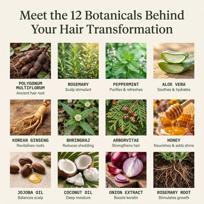 Korean Scalp Revival Bar